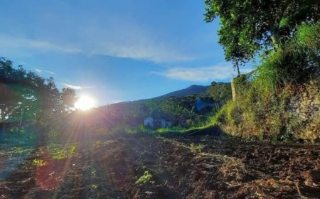 Menyatu dengan Alam di Pangjugjugan: Tempat Wisata Sejuk di Sumedang untuk Healing Keluarga dan Aktivitas Outdoor yang Mengasyikkan