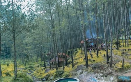 Menyelami Pesona Kampung Ciherang di Sumedang: Destinasi Wisata Keluarga Terbaru dengan Wahana Seru, Kolam Renang, dan Aktivitas Outbond yang Instagramable