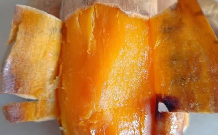 Mengenal Ubi Cilembu: Rahasia Kelembutan dan Rasa Manis Alami Khas Sumedang yang Menggoda Selera Anda