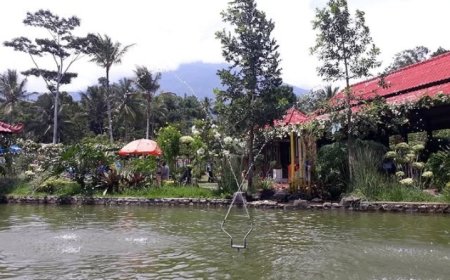 Menikmati Keindahan Alam dan Kesejukan Taman Wisata Alam Linggarjati di Kuningan: Surga Tersembunyi yang Menggoda Pengunjung