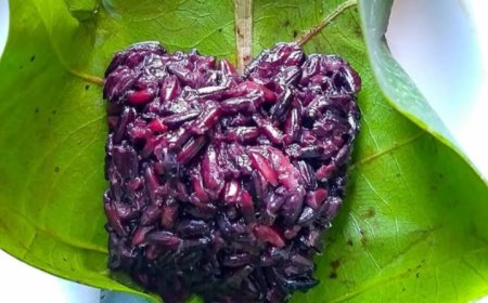 Mengenal Lebih Dekat Peyeum Ketan Khas Kuningan: Eksplorasi Cita Rasa Unik dari Perpaduan Ketan Putih dan Merah yang Menggoda Selera