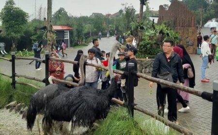 Menikmati Keindahan Alam dan Koleksi Satwa Unik di Lembang Park and Zoo: Tempat Liburan Keluarga yang Wajib Dikunjungi!