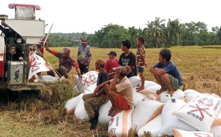 HPP Baru, Bulog Banyuwangi Targetkan Serap Gabah dan Beras Petani 53.000 Ton.