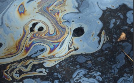 Destinasi Wisata Pantai Bangsring Underwater Tercemar Cairan Hitam Pekat, Diduga Oli Bekas