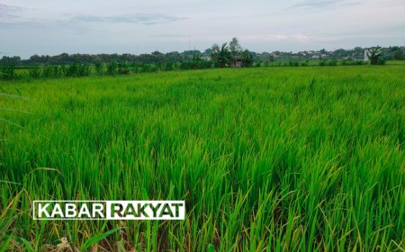 Lahan Sawah Kering Disperta KP Sampang Siapkan Pompa Air Untuk Petani