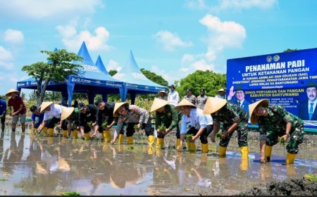 Dukung Ketahanan Pangan, Lapas Banyuwangi Tanam Padi di Sarana Asimilasi dan Edukasi di Kelurahan Pakis