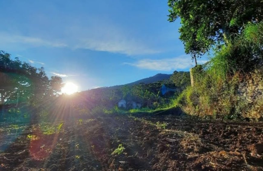Menyatu dengan Alam di Pangjugjugan: Tempat Wisata Sejuk di Sumedang untuk Healing Keluarga dan Aktivitas Outdoor yang Mengasyikkan