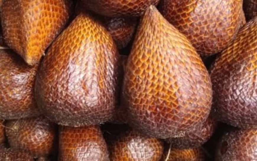 Salak Bongkok: Buah Salak Khas Sumedang dengan Rasa Manis, Keasaman Ringan, dan Tekstur Kenyal yang Menggoda Selera