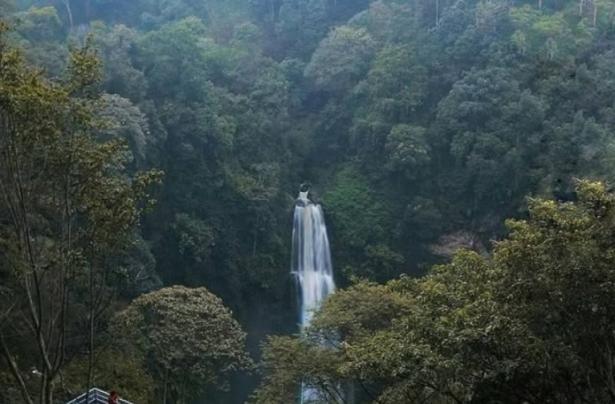 Curug Cimahi: Menyusuri Keindahan Air Terjun Pelangi yang Menakjubkan di Jantung Alam Bandung