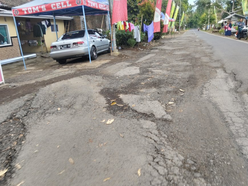 Warga Jember Minta Bupati Baru Prioritaskan Jalan Langganan Rusak di Sumberjambe Sukowono