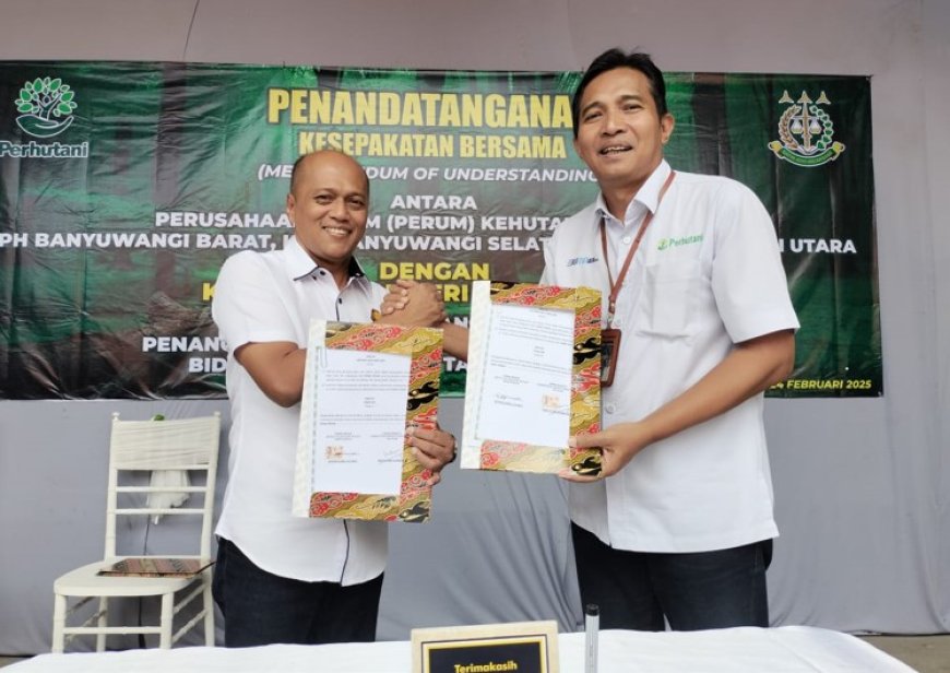 Pastikan Konsistensi Pengelolaan Hutan Secara Lestari, Perhutani Banyuwangi MoU dengan Kejaksaan Negeri