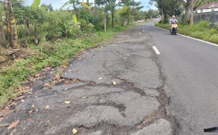 Bupati Gus Fawait Diminta Atensi Serius, Jalan Rusak Penghubung Sukowono Sumberjambe