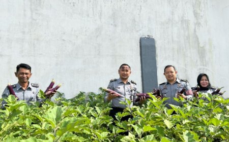 Rutan Situbondo Panen Hasil tanaman, Wujud Nyata Dukung Ketahanan Pangan Nasional