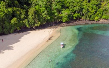 Keindahan Pantai Karang Tawulan: Surga Eksotis dengan Pesona Alam dan Kehidupan Laut