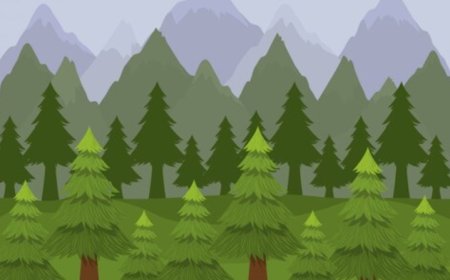 Hutan Pinus Kragilan: Oase Sejuk dan Spot Foto Instagramable di Magelang