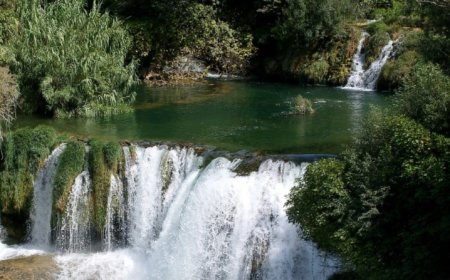 Eksplorasi Alam dan Konservasi di Kebun Raya Baturraden: Edukasi dan Rekreasi Bersatu