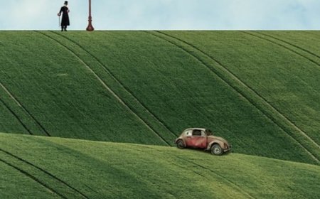 Petualangan Seru di Baturraden Adventure Forest: Outbond dan Keindahan Alam