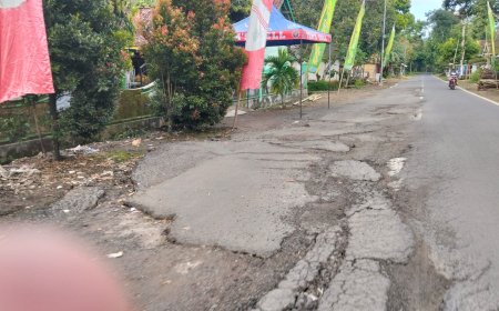 Gus Fawait Sidak Toilet Alun-Alun, Aktivis Jember: Jalan Rusak Jauh Lebih Penting