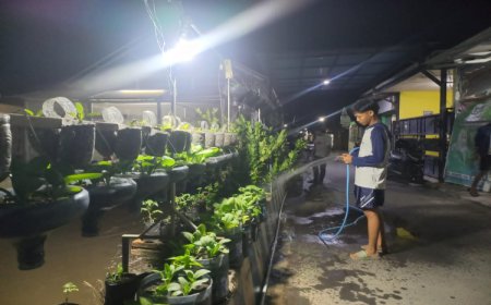 Kisah Sukses Junior Musta'in: Pelajar SMK Situbondo Bertani Memanfaatkan Daur Ulang Sampah