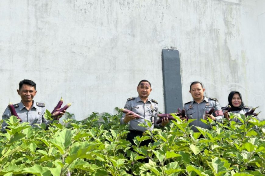 Rutan Situbondo Panen Hasil tanaman, Wujud Nyata Dukung Ketahanan Pangan Nasional