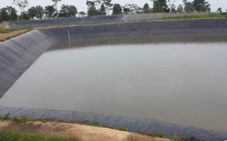 Kejar Target Swasembada Pangan, Banyuwangi Pacu Optimalisasi Infrastruktur Pengairan Pertanian