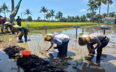 Dukung Ketahanan nasional, Pemkab Situbondo Siapkan Satu Penyuluh Tiap Desa