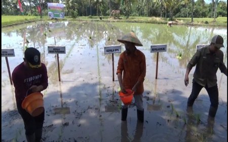 Dukung Program Situbondo Naik Kelas, Dispertangan Ajukan Penambahan PPL ke Kemenpan RB