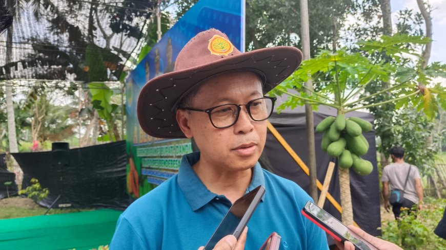 Pupuk Gratis Tembakau Sudah Disiapkan? Begini Tanggapan Kadiperta Bondowoso