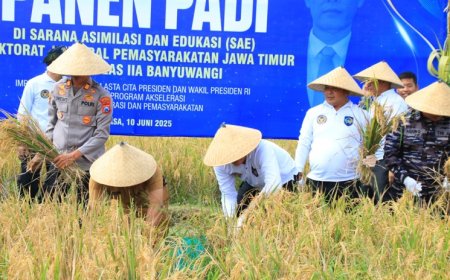 Kakanwil Ditjenpas Jatim Pimpin Panen Raya Padi di SAE Lapas Banyuwangi