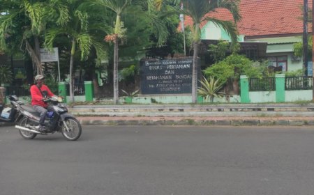 Kejar Target Tanam, Dispertangan Situbondo Genjot Pemetaan Lahan dan Usulan Sumur untuk Petani