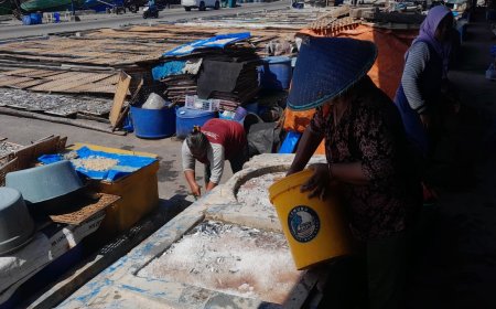 Nelayan Sepi Tangkapan, Industri Ikan Asin di Banyuwangi Kekurangan Bahan Baku