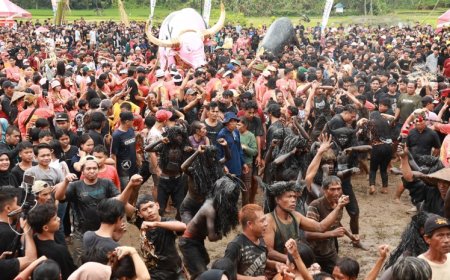 Ribuan Orang Ramaikan Ritual Adat Keboan Aliyan Banyuwangi
