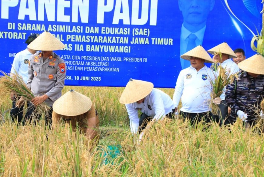 Kakanwil Ditjenpas Jatim Pimpin Panen Raya Padi di SAE Lapas Banyuwangi