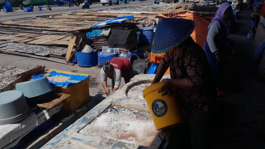 Nelayan Sepi Tangkapan, Industri Ikan Asin di Banyuwangi Kekurangan Bahan Baku