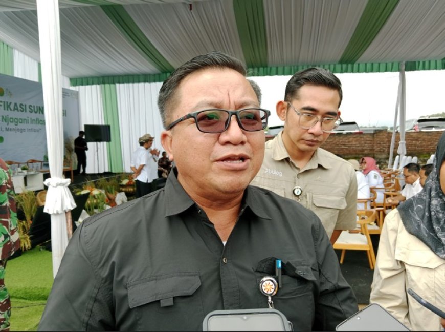 Semester I Tahun 2025, Bulog Jatim Serap Gabah Petani 601.000 Ton