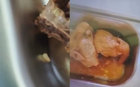 Belatung dalam Ompreng MBG di Tuban, Wajah Buruk Program Makanan Bergizi Gratis di Hari Pertama