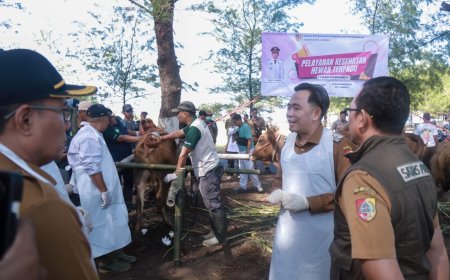 Pemkab Jember Siapkan 250 Dapur MBG, Produktivitas Sapi Digenjot