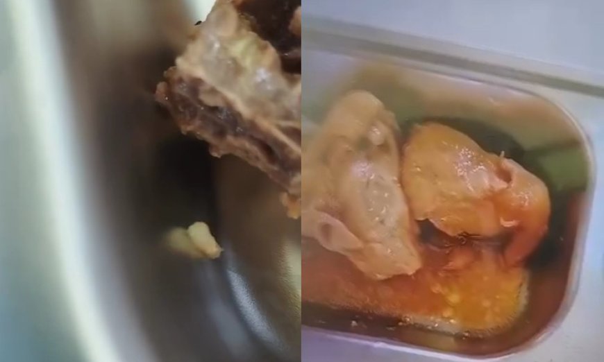 Belatung dalam Ompreng MBG di Tuban, Wajah Buruk Program Makanan Bergizi Gratis di Hari Pertama
