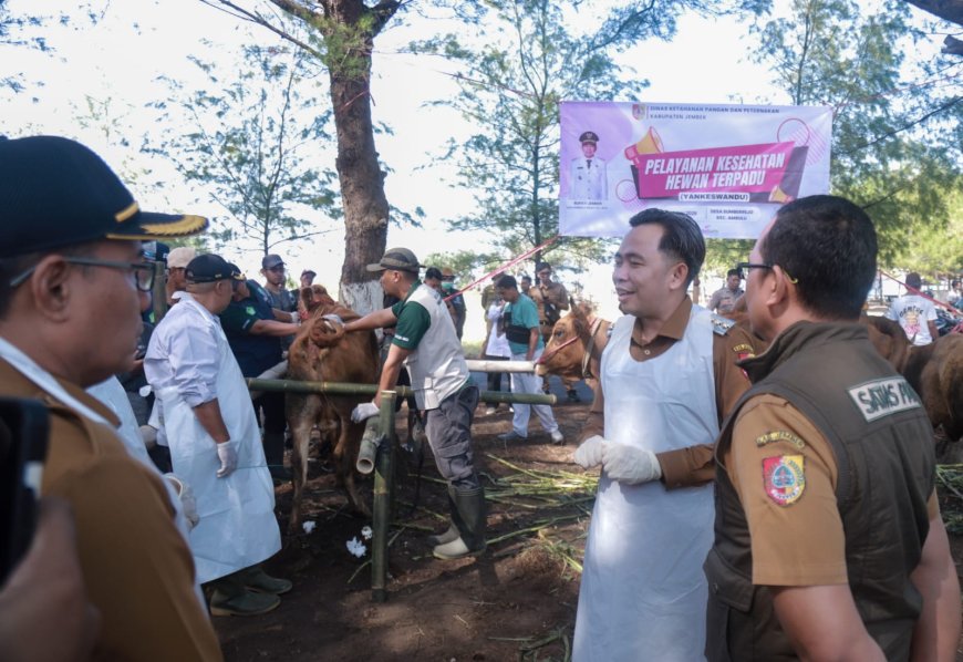 Pemkab Jember Siapkan 250 Dapur MBG, Produktivitas Sapi Digenjot