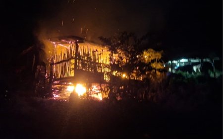 Kandang Ternak Warga Desa Ketapang Banyuwangi Terbakar, 9 Ekor Kambing Hangus Terpanggang