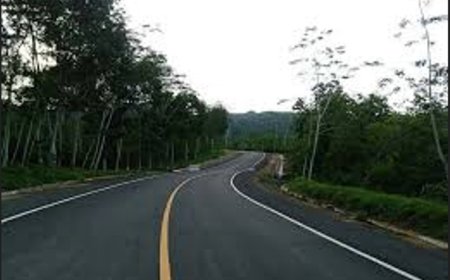 JLS Banyuwangi-Jember Tersisa 14,1 Km Lagi, Tahap Konstruksi Jalan Akan di Mulai Tahun 2026