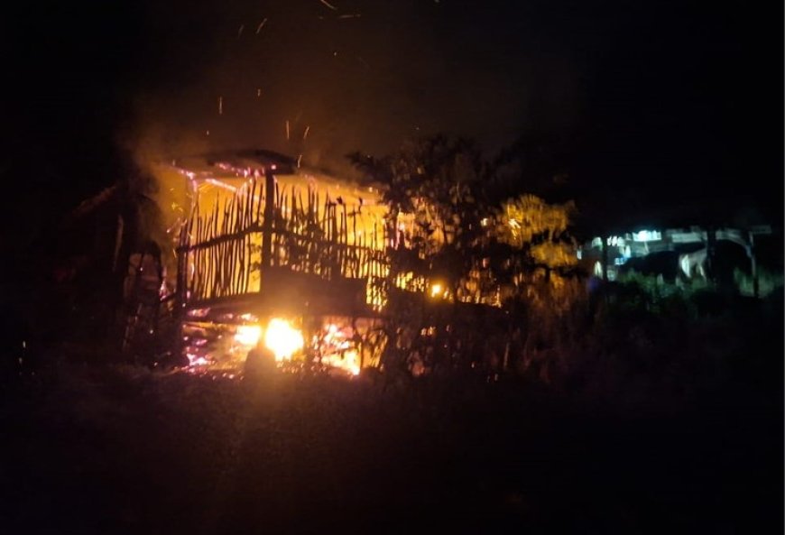 Kandang Ternak Warga Desa Ketapang Banyuwangi Terbakar, 9 Ekor Kambing Hangus Terpanggang