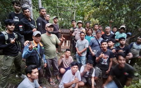 Dua Warga Solok Selatan Diserang Harimau Sumatra, BKSDA Pasang Kandang Jebak dan Kamera Trap