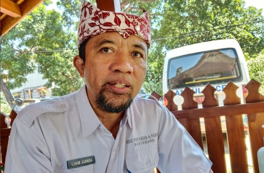 Serapan Pupuk Subsidi di Banyuwangi Capai 58 Persen dari Alokasi