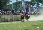 Protes Peserta Warnai Kerapan Sapi Piala Presiden 2025 di Bangkalan Madura, Pengumuman Pemenang Ditunda