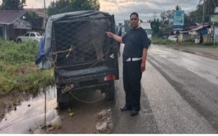 Spesialis Pencuri Ternak yang Meresahkan Warga Digagalkan Anggota Satlantas Polres Dharmasraya