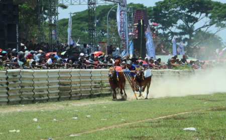 Protes Peserta Warnai Kerapan Sapi Piala Presiden 2025 di Bangkalan Madura, Pengumuman Pemenang Ditunda