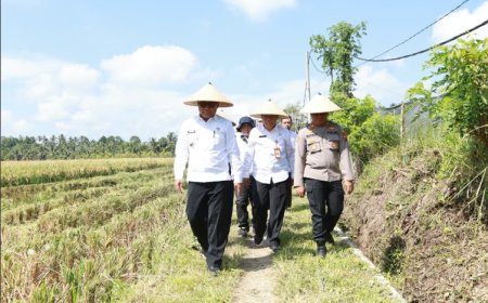 Dukung Swasembada Pangan, Pemkab dan Pupuk Kaltim Panen Demplot Padi di Banyuwangi