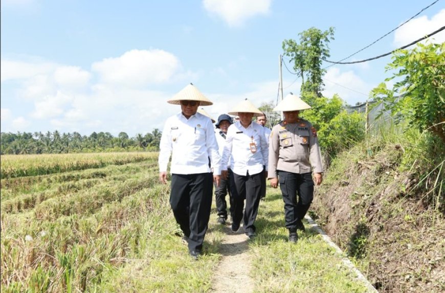 Dukung Swasembada Pangan, Pemkab dan Pupuk Kaltim Panen Demplot Padi di Banyuwangi