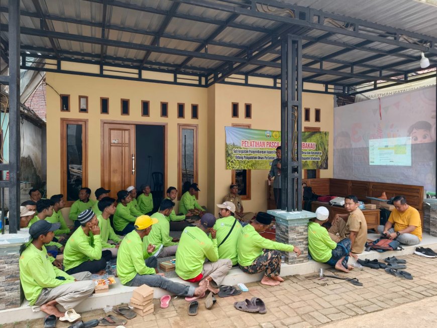 Pemkab Situbondo Latih Petani Tembakau, Dorong Harga Panen Naik Drastis